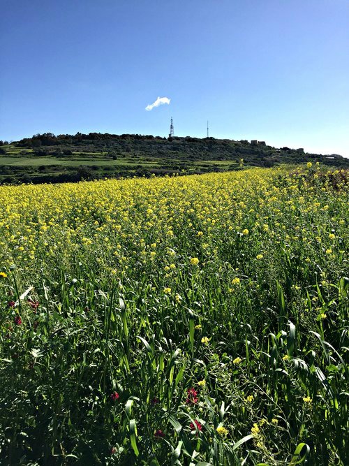 il-qolla nature trek malta