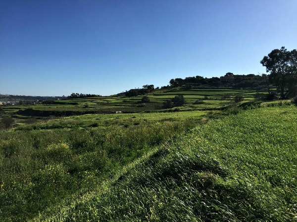 wardija malta
