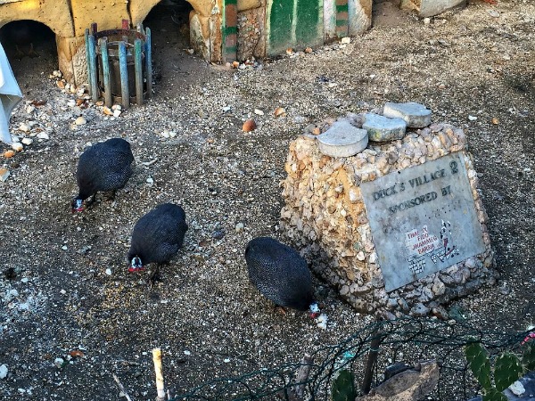 duck village gzira manoel island malta