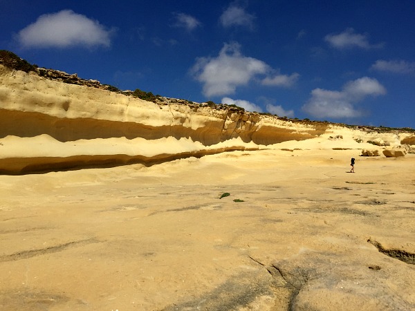 nature around xlendi tower in gozo