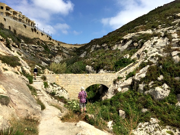 nature around xlendi tower in gozo
