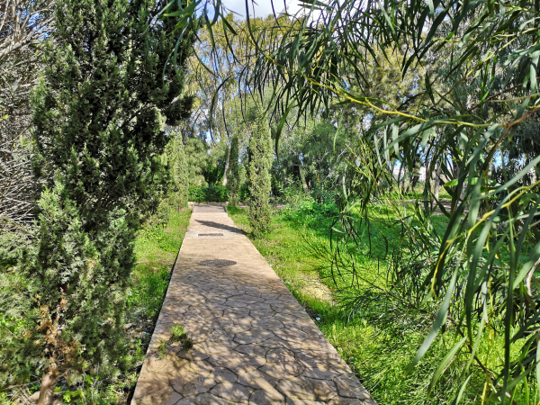 Kennedy Grove Malta
