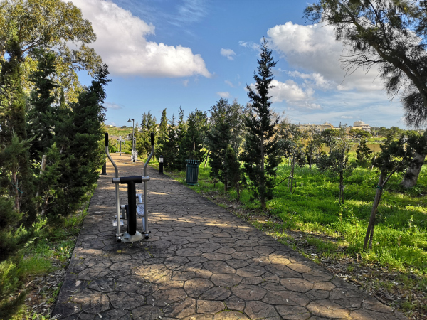 Kennedy Grove Malta