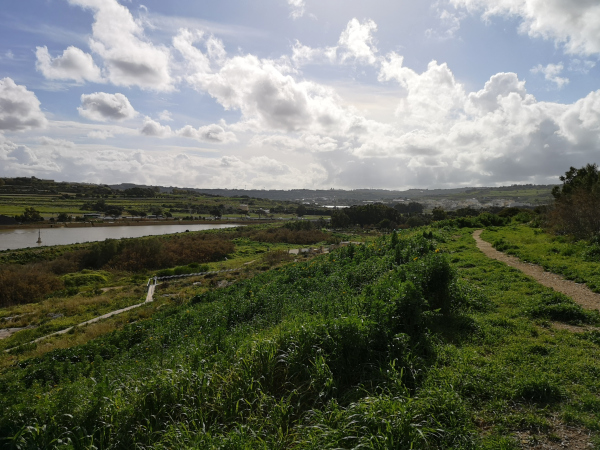 Kennedy Grove Malta