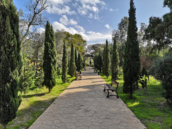 Kennedy Grove Malta