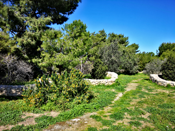 ta qali national park