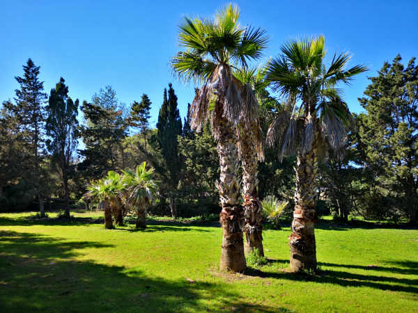 ta qali national park