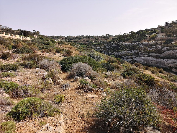 wied babu upper trek