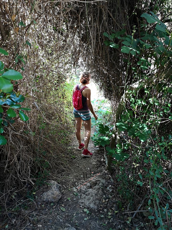 wied babu lush valley zurrieq