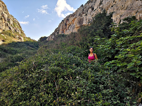 wied babu lush valley zurrieq