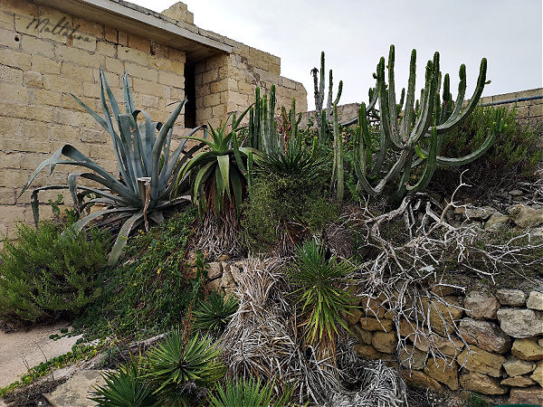 Rinella Movie Park, Malta